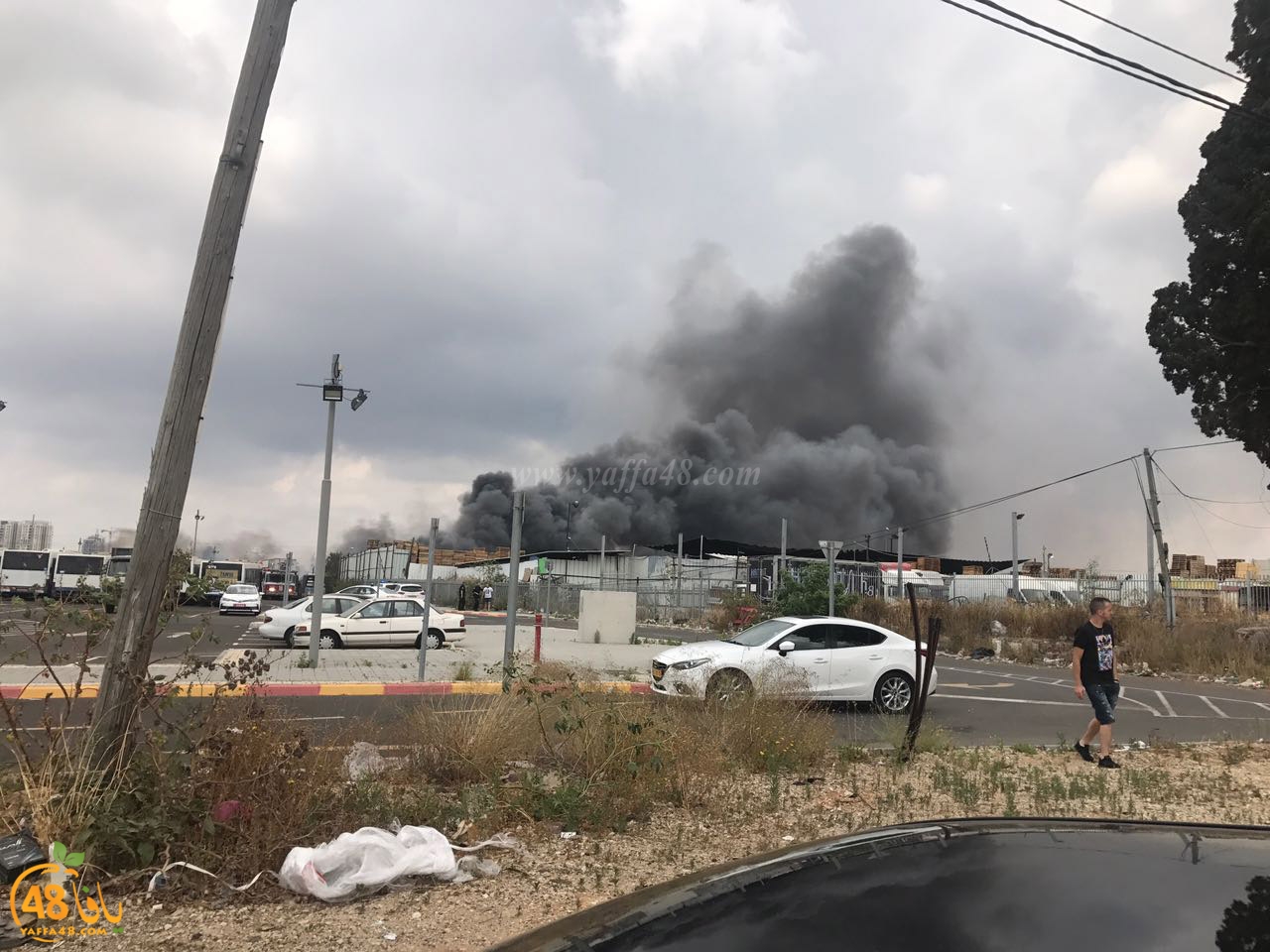 firbus eastyaffa (15).jpg